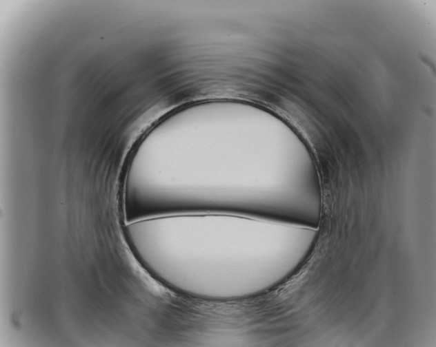 X0000097300995200802151118