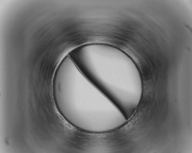 X0000097300996200802151118