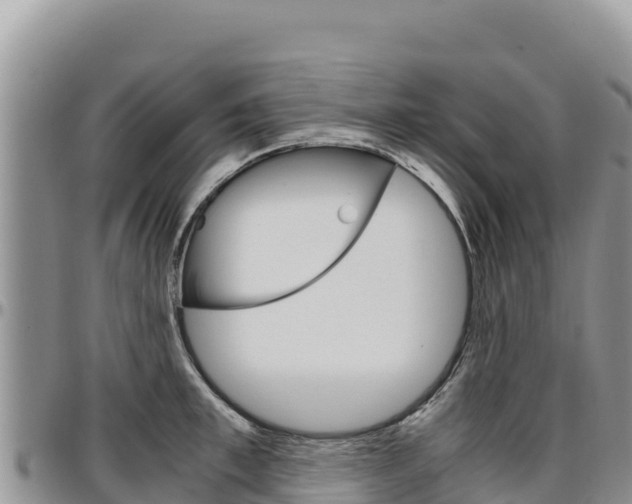 X0000097300997200802151118