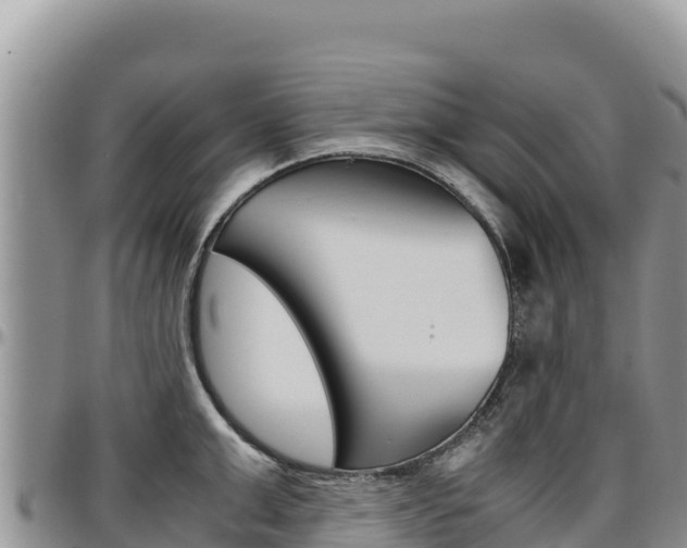 X0000097300999200802151118