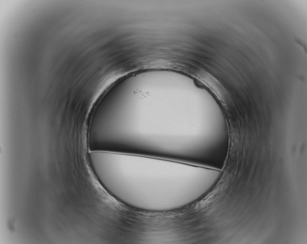 X0000097301000200802151118