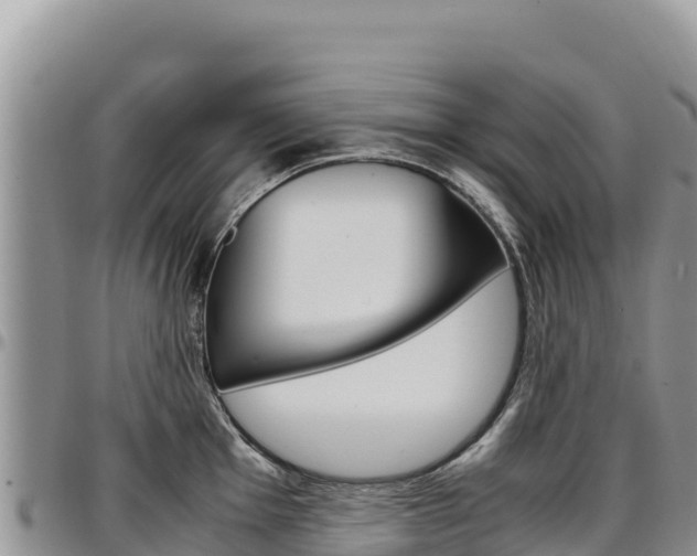 X0000097301001200802151118