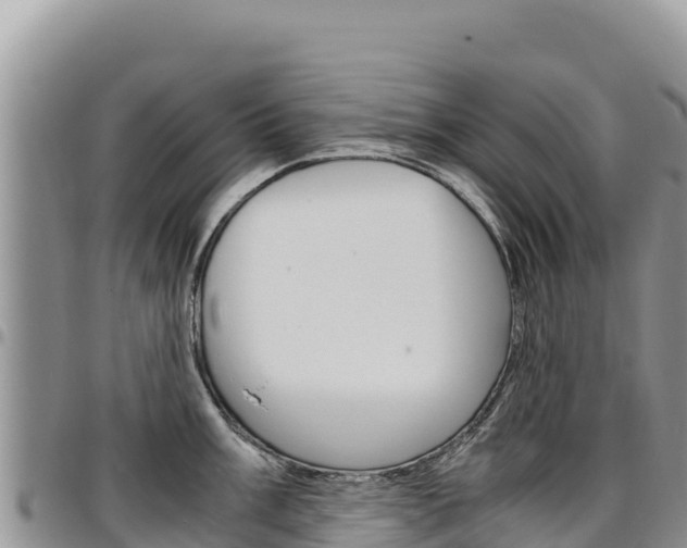 X0000097301003200802151118