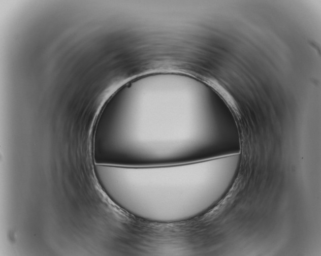 X0000097301004200802151118