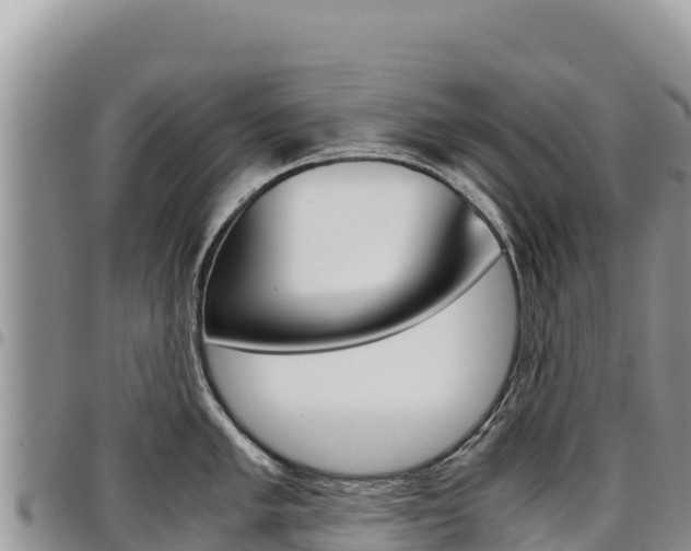X0000097301005200802151118