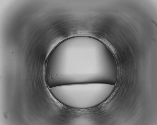 X0000097301006200802151118