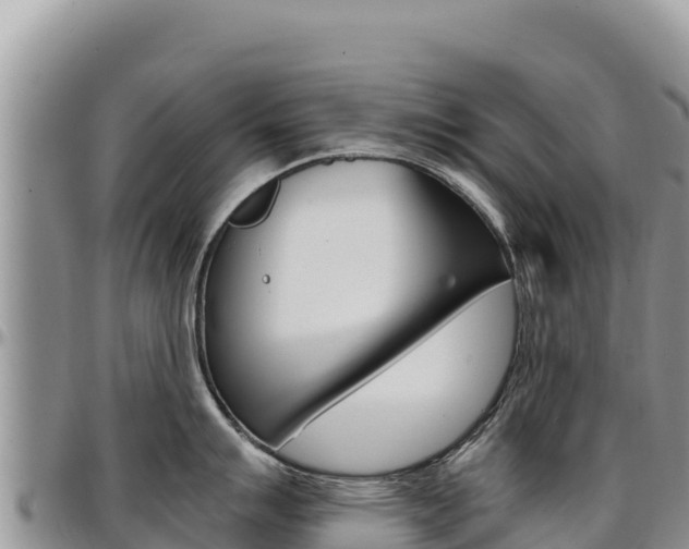 X0000097301007200802151118