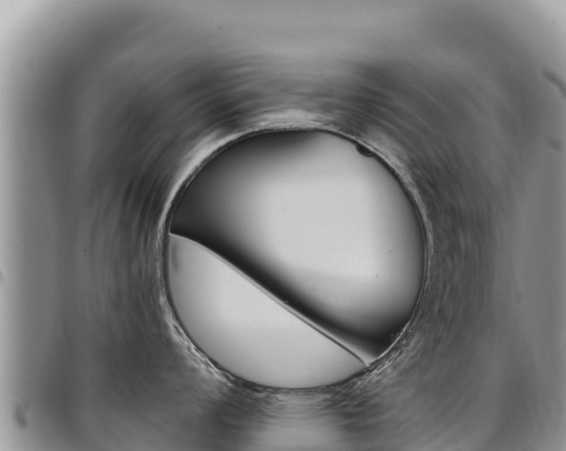 X0000097301008200802151118