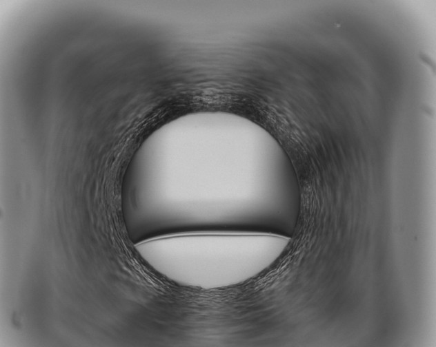 X0000097301009200802151117
