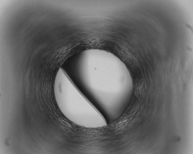 X0000097301010200802151117