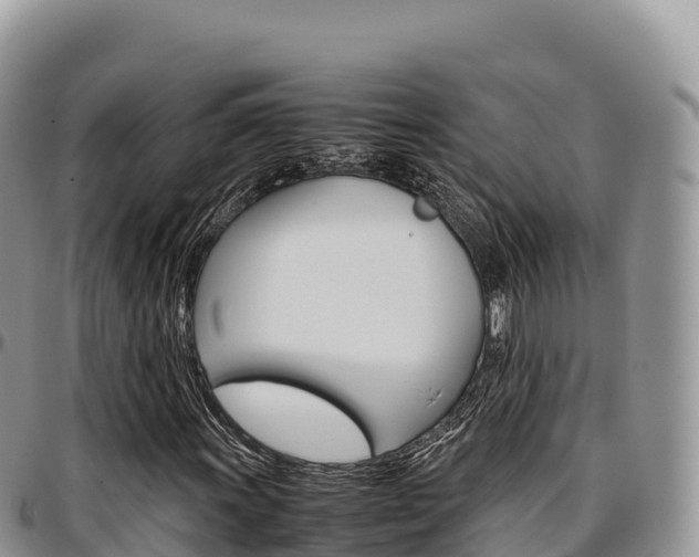 X0000097301011200802151117