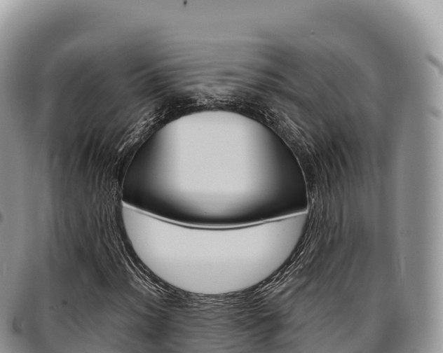 X0000097301012200802151117
