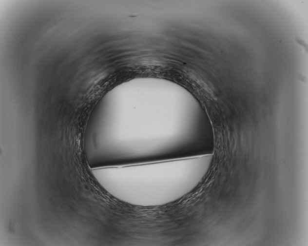 X0000097301013200802151117