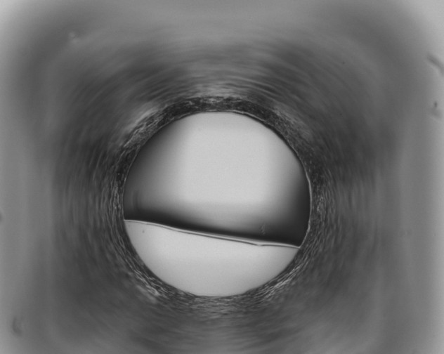 X0000097301014200802151117