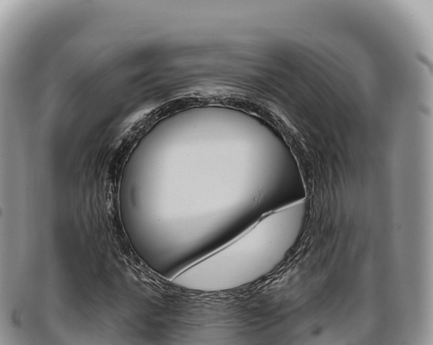 X0000097301016200802151117