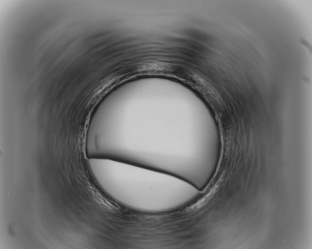 X0000097301017200802151117