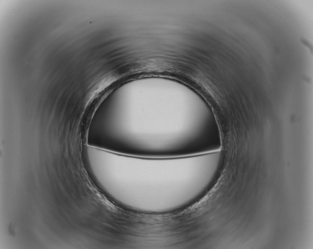 X0000097301018200802151117
