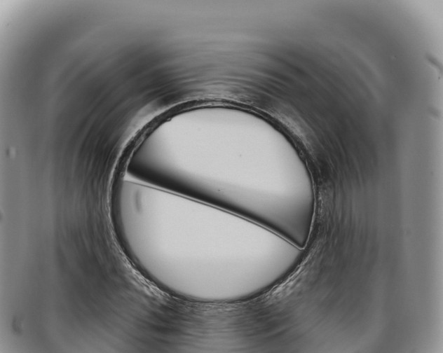X0000097301020200802151117