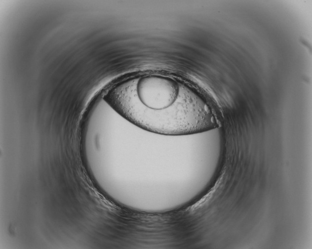 X0000097301021200802151117