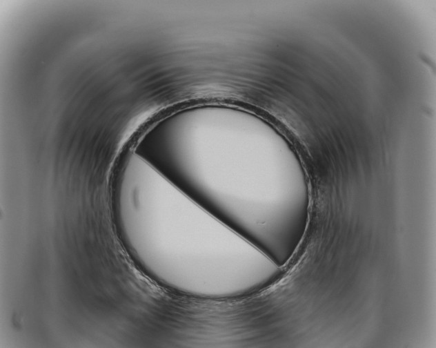 X0000097301022200802151117