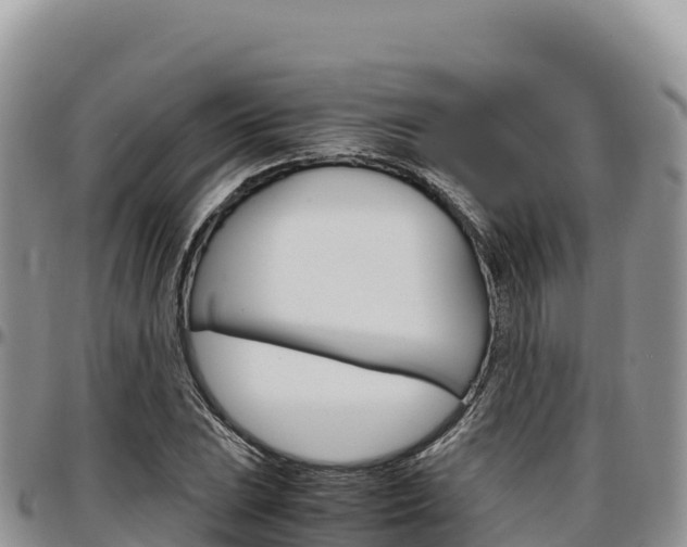 X0000097301023200802151117