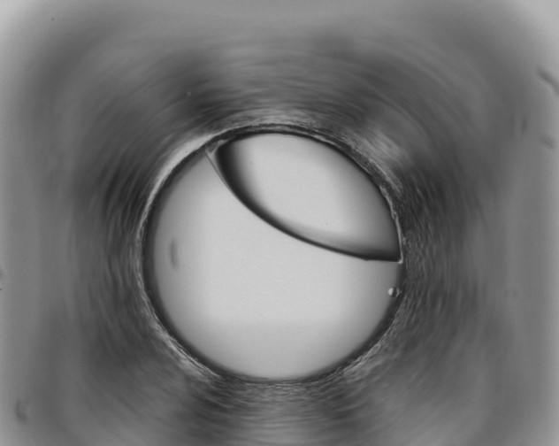 X0000097301024200802151117
