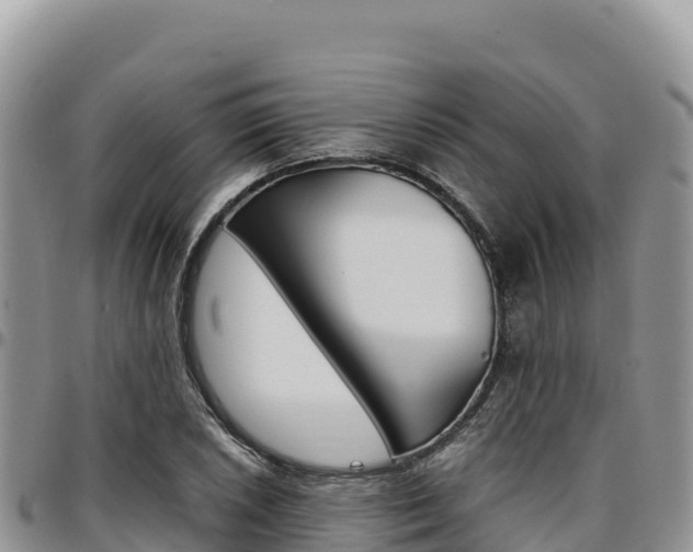 X0000097301026200802151117