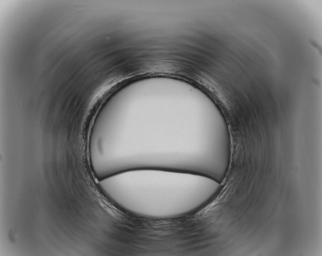 X0000097301027200802151117