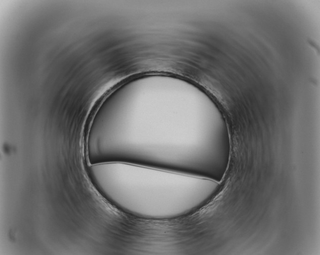 X0000097301028200802151117