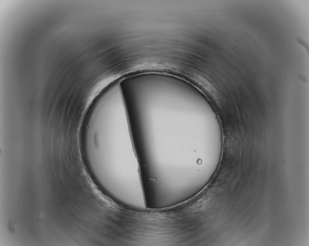 X0000097301030200802151117