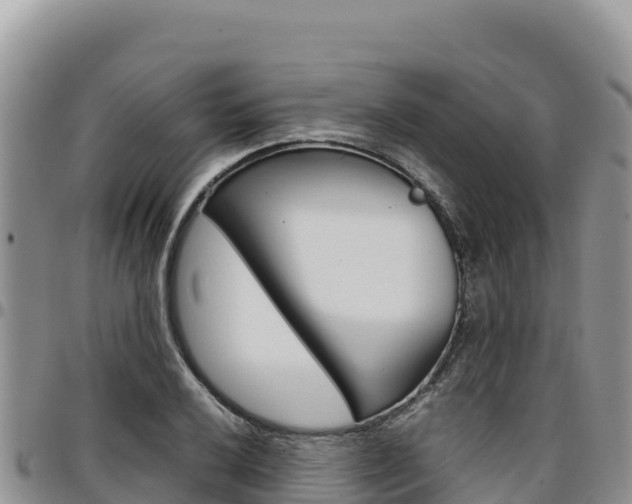 X0000097301032200802151117