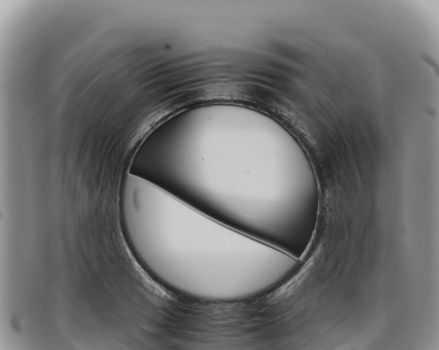 X0000097301033200802151117
