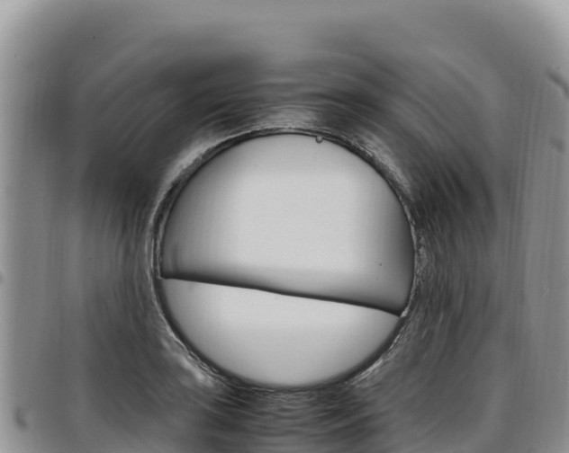X0000097301035200802151118