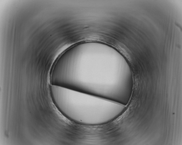 X0000097301036200802151118