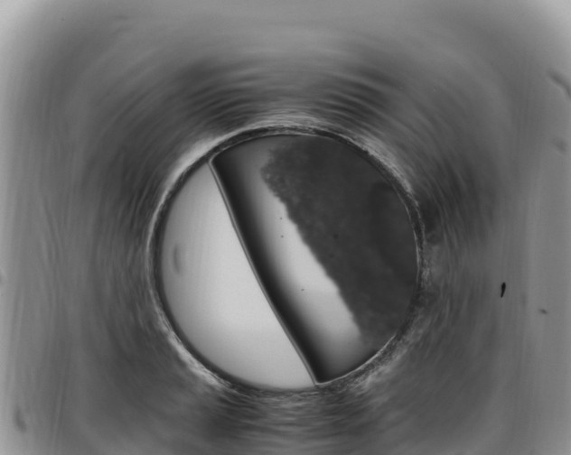 X0000097301037200802151118
