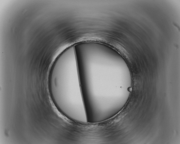 X0000097301038200802151118