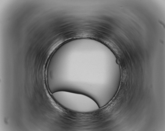 X0000097301039200802151118