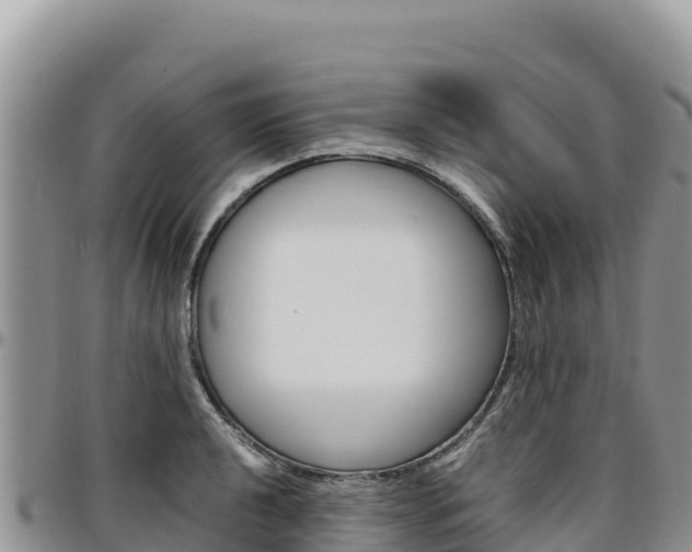 X0000097301040200802151118