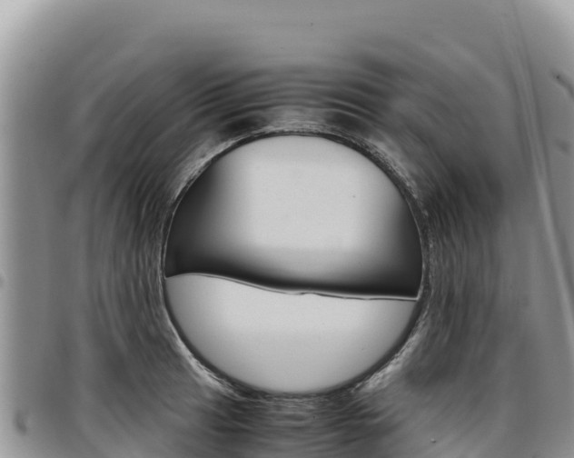 X0000097301041200802151118
