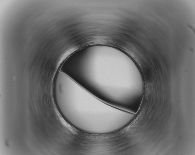 X0000097301042200802151118