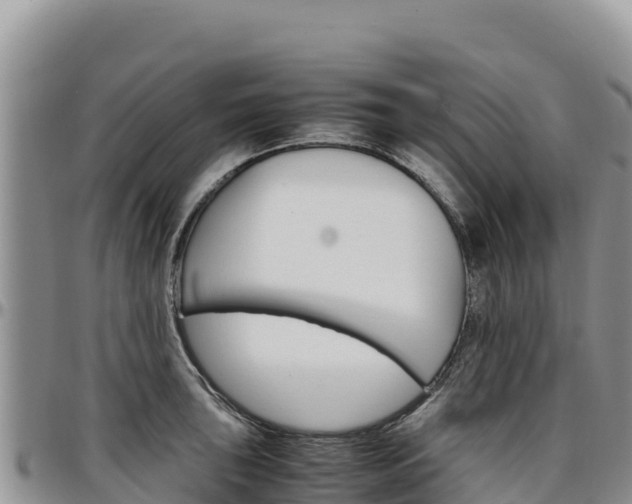 X0000097301043200802151118