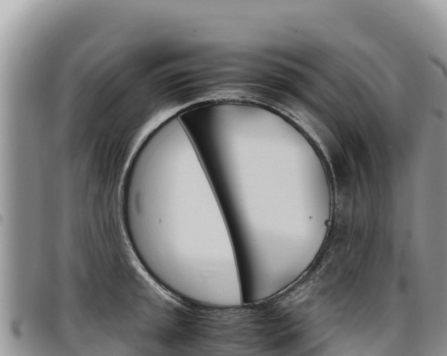 X0000097301045200802151118