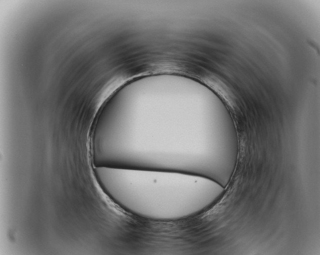 X0000097301047200802151118