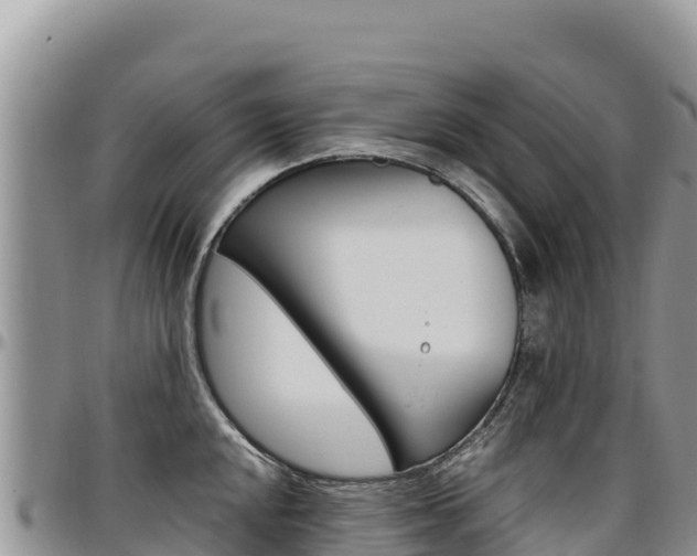 X0000097301048200802151118