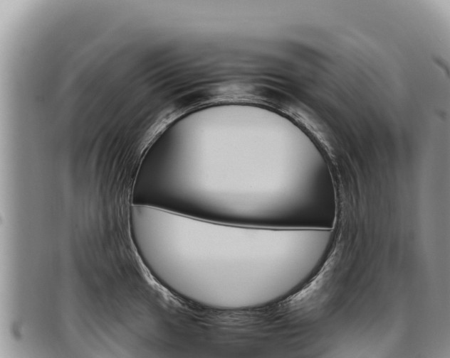 X0000097301049200802151118
