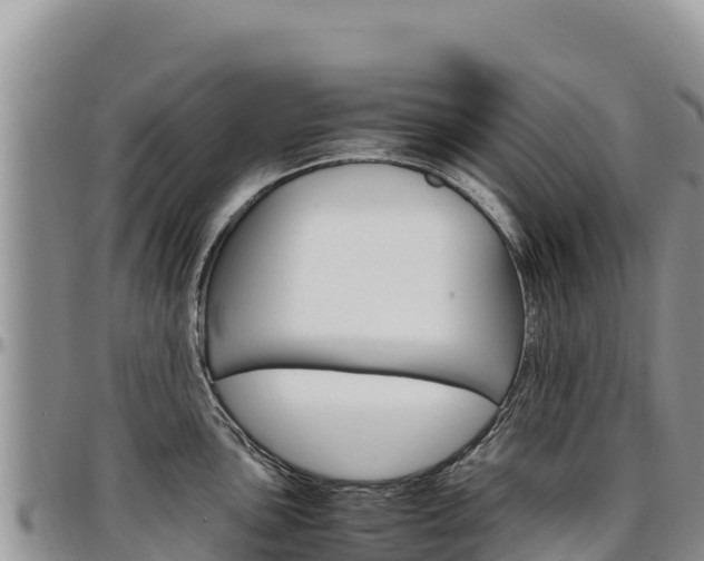 X0000097301051200802151118