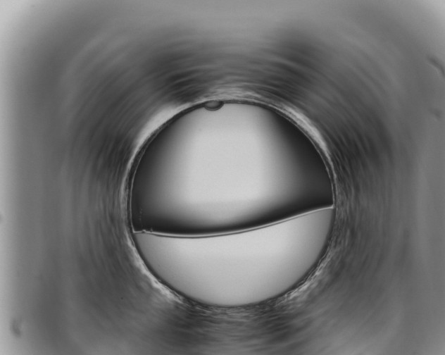X0000097301053200802151118