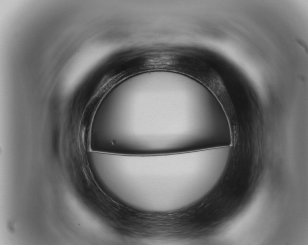 X0000097301054200802151118