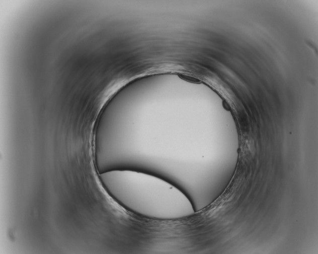 X0000097301055200802151118