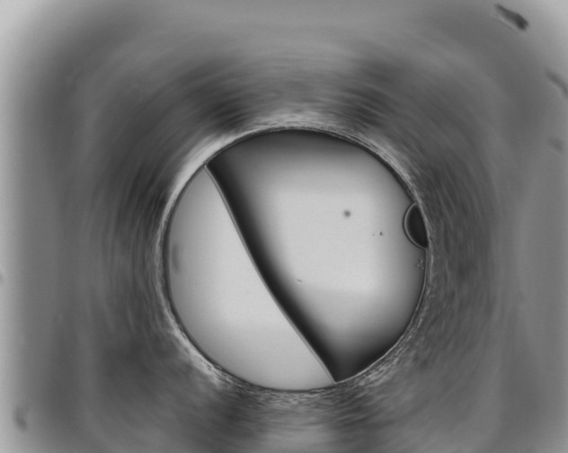 X0000097301056200802151118